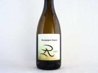 ֥르˥塦ꥴ 2023 / Ρѥ