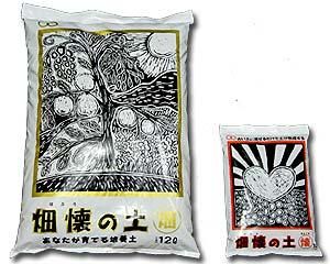 生体エネルギーペンダント・むろぢ シルバー - 能源 web shop 生体エネルギーペンダント・むろぢ シルバー - 能源 web shop