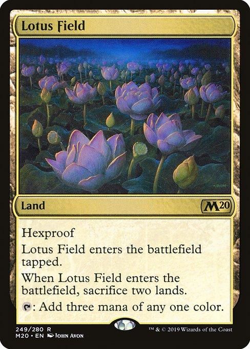 睡蓮の原野 Lotus Field M 英語 基本セット
