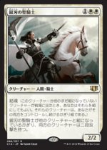 銀刃の聖騎士/Silverblade Paladin(C14)【日本語】