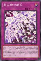 聖天樹の開花【ノーマル】SLT1-JP039