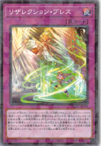 ꥶ쥯󡦥֥쥹ڥѥDBGC-JP036