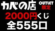 【MTG】カベの店アウトレット限定！2000円くじ 全555口