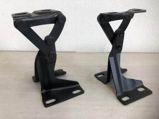 ܥͥåȥҥ󥸺å(TARA2# -75.09)