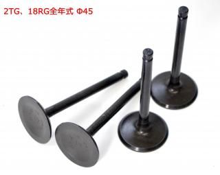 Х֥å,ơ(2TG73.04,18RG)45