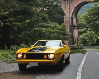 1973 ޥ󥰡ݡĥ롼302 5MT