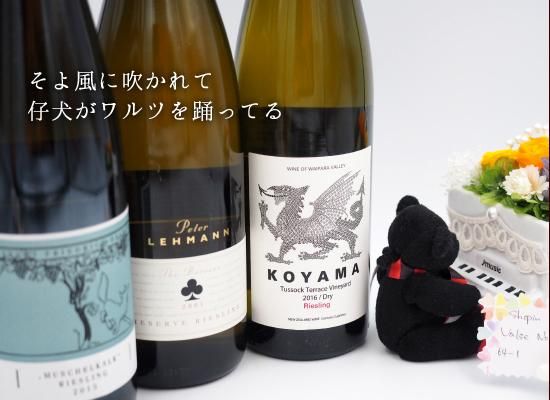ワイン4本セット　ニュイ Les 5wy Signature Savagnin(レ・サンク・ヴィ シニャチュール