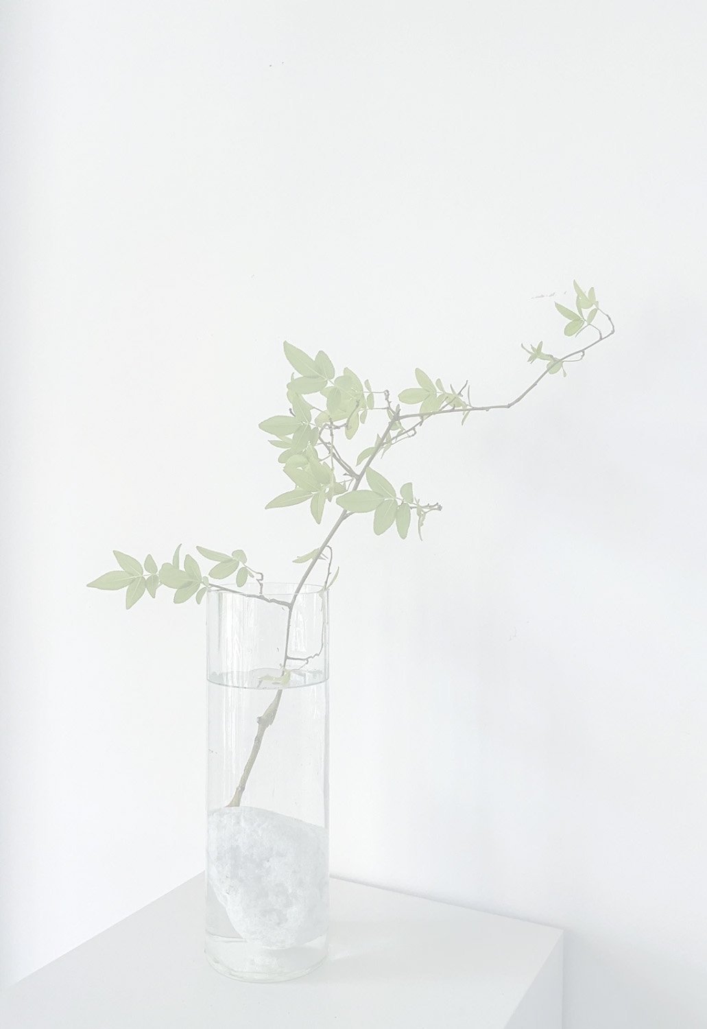 YURAGI Flower vase -light