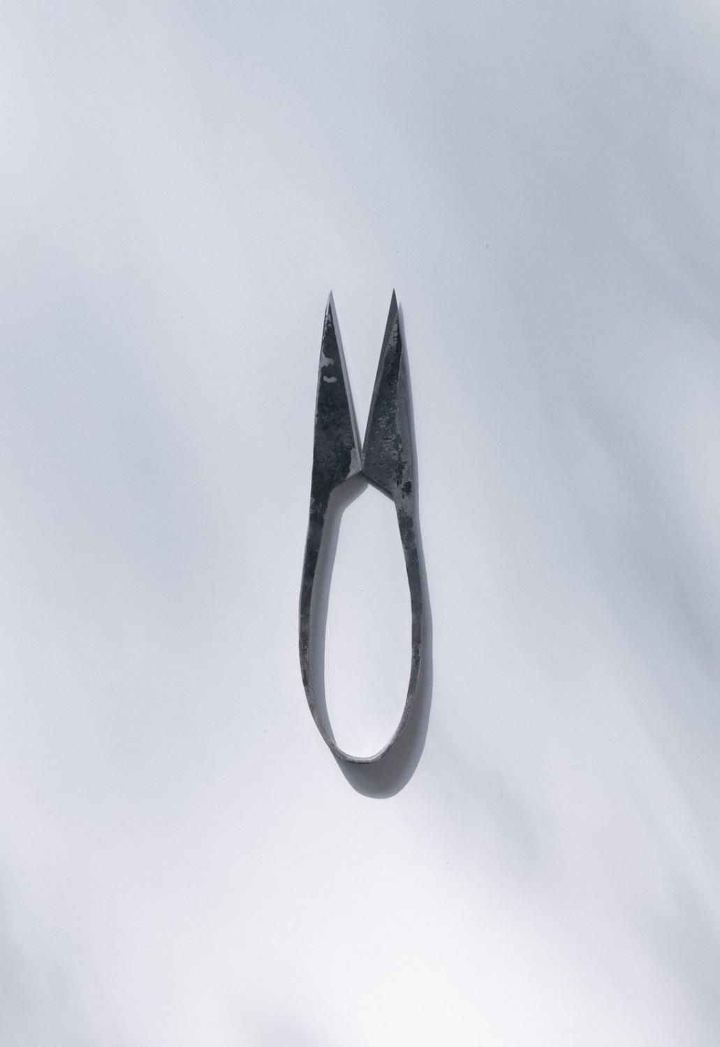 HERB SHEARS 