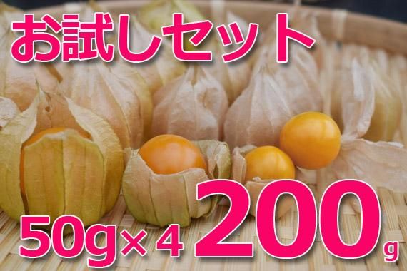 ほおずき ほおずき
