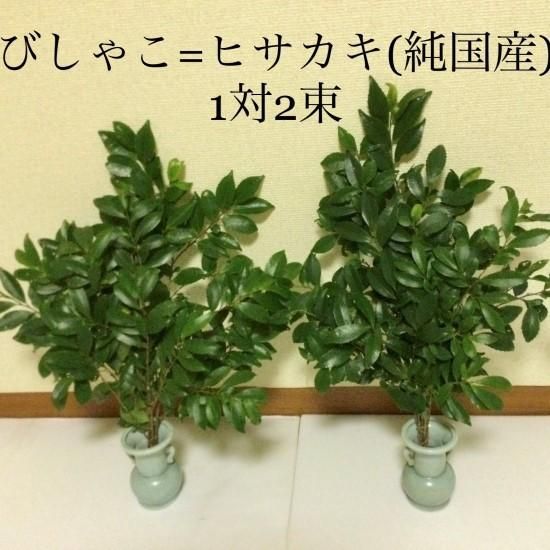 高野びしゃこ＝ヒサカキ（純国産）1対2束 - ぐるわり【びしゃこ・本