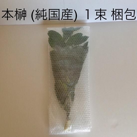 農家様専用 榊 30本