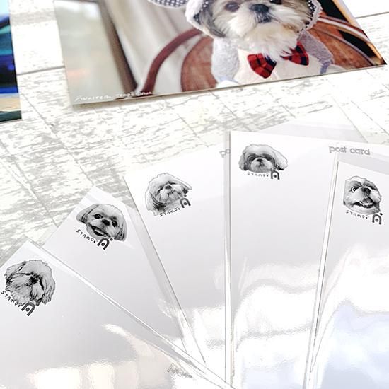 01~05てんぽのポストカード 5枚セット(postcardset) 01~05てんぽのポストカード 5枚セット(postcardset)
