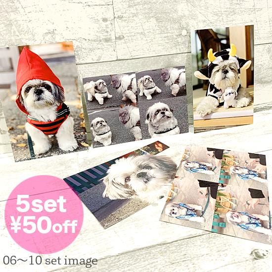 09てんぽのポストカード/ギョロめちゃん(postcardset) 09てんぽのポストカード/ギョロめちゃん(postcardset)