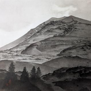 ֻ