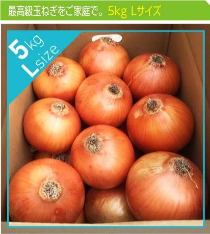 追熟甘玉ねぎ　2L　5kg | 送料無料 | 淡路玉葱