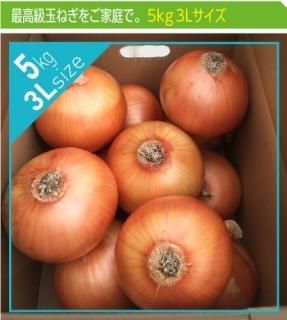 玉ねぎ 通販 お取り寄せ 淡路島の貴重な玉葱を全国へ 東中青果 玉ねぎ 通販 お取り寄せ 淡路島の貴重な玉葱を全国へ 東中青果