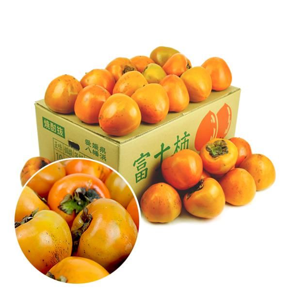 富士柿 キズキズ君 10kg 富士柿 キズキズ君 10kg