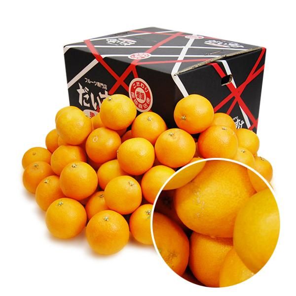 媛まどんな キズキズ君 10kg 媛まどんな キズキズ君 10kg