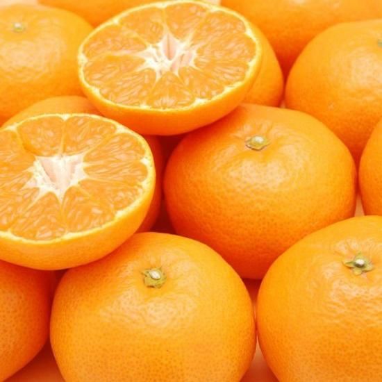 愛媛県産　48号　柑橘　　10kg 愛媛みかん お得用 10kg