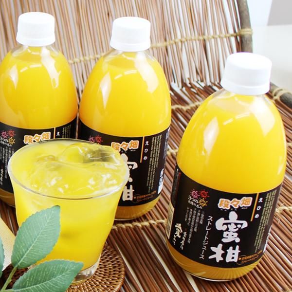 愛媛県産 100％蜜柑(みかん)ジュース 6本