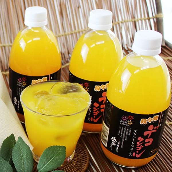 愛媛県産 100％デコポンジュース 12本