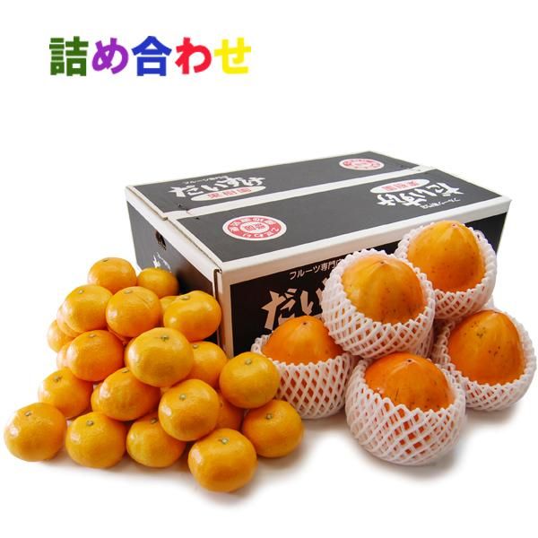 みかん 玉宝ブランド」＜せとか＞3kg＜E64-47＞_ みかん せとか 蜜柑