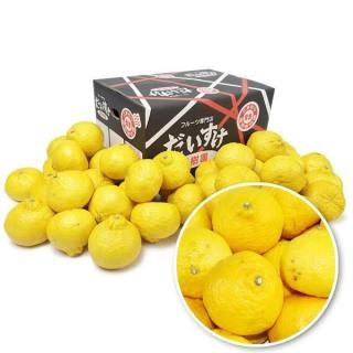 レモン　媛小春2kg+はれひめ4.5kgぐるりん まーちん 媛小春2kg+はれひめ4.5kgぐるりん 愛媛限定栽培 幻