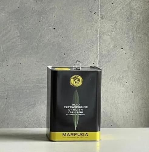 2026ǯ  ޥա EXV ꡼֥ 3L