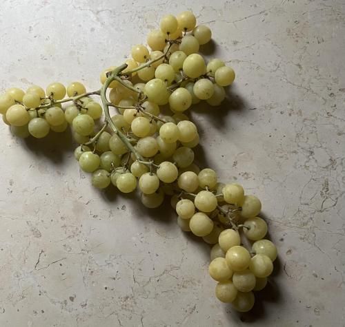 2025ǯ127ͭջҤ֥ꥢߤΤ