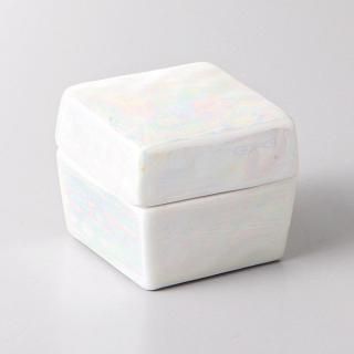 170-24-5J ߤӳƻvol.5  ۥ磻̳⳰ѳʪ ̳