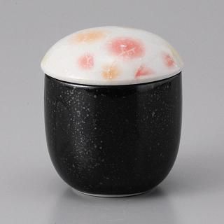 219-3-1J ߤӳƻvol.5 ֲѾष ̳