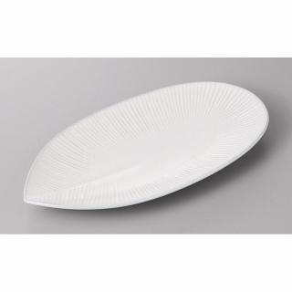254-1-8J ߤӳƻvol.5 ɥ⥢Ĺ21cm ̳