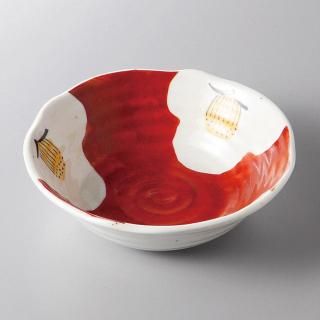 417-14-10J ߤӳƻvol.5  ǻؼʪȭ ̳