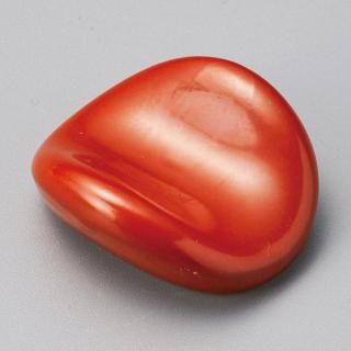 477-4-00J ߤӳƻvol.5 ξȤ ̳