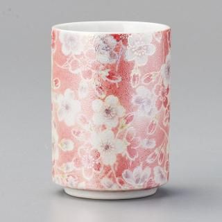 575-14-23J ߤӳƻvol.5 饹̺ ̳
