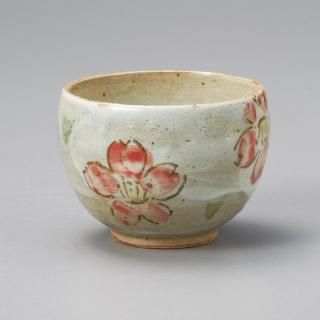 595-23-41J ߤӳƻvol.5 äפ ̳