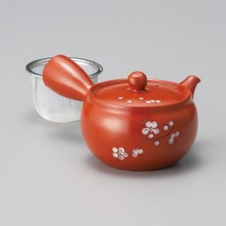 609-4-10J ߤӳƻvol.5 ť2.2޿ܥ ̳