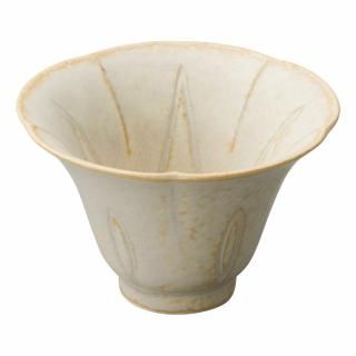 648-13-58J ߤӳƻvol.5 ReNEW С ī鷿̣ ̳