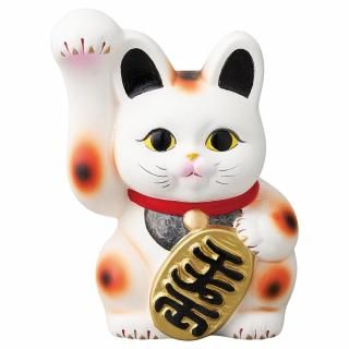 881-6-86J ߤӳƻvol.5 ǭ8 ӡ ̳