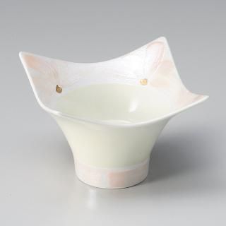 61-22-287 Ĥ vol17 ԥ󥯰ϥ澮ȭ ̳