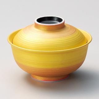 240-13-527 Ĥ vol17 ȿʪҡʾ ̳