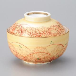 241-4-657 Ĥ vol17 ̤वμʪ ̳