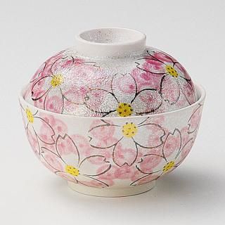 242-10-717 Ĥ vol17 饹ڡʪ ̳