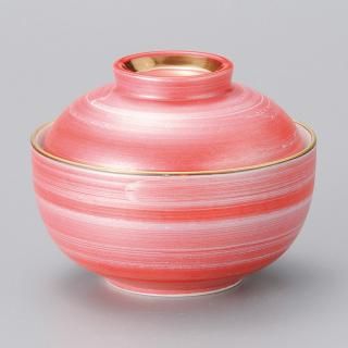 243-4-527 Ĥ vol17 ض̺Ӽʪ ̳