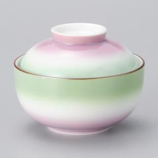 243-20-527 Ĥ vol17 󿧿ʪ ̳