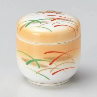 246-1-207 Ĥ vol17 ܤष ̳