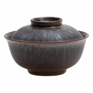 419-9-527 Ĥ vol17 ReNEW ȿʪʥȡ ̳