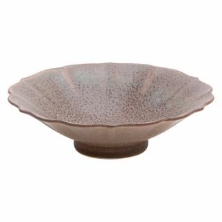 419-20-527 Ĥ vol17 ReNEW ַաʥ졼 ̳