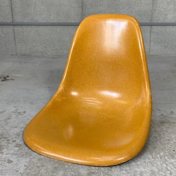 Side Shell / Ochre Dark
